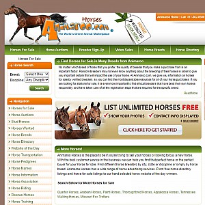 Horses Sale