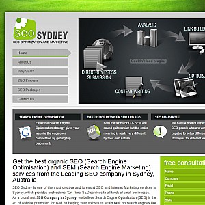 SEO Sydney is a Leading SEO Firm Specializing in